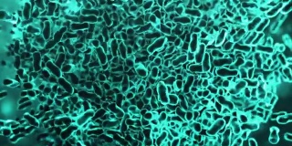 细菌克隆，美丽的3d动画