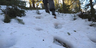 清晨，一个面目全非的人走在雪山森林里。年轻的徒步旅行者在冬天的雪坡上爬山。健康积极的生活方式。旅行或旅行的概念。后视图慢动作低角度视图