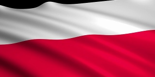 3D渲染波兰国旗