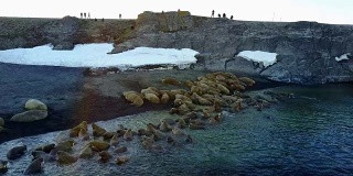 在北冰洋海岸海象和人类的摄食基地鸟瞰图。