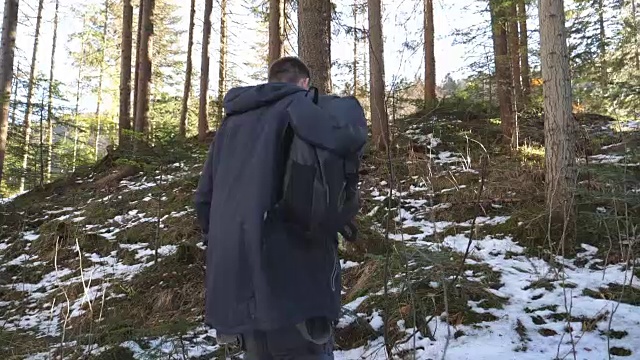 在阳光明媚的日子里，年轻的徒步旅行者背着背包走在山间松树林的后视图。一个陌生的人在早春徒步旅行。特写慢动作