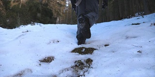 后视图，不认识的家伙爬上雪坡与松树林的背景。年轻的徒步旅行者在雪山上徒步旅行，享受冬季旅行。健康积极的生活方式。慢动作