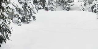 滑雪滑下滑雪坡骑板穿红裤子黑夹克飞粉末雪花向相机-冬季运动
