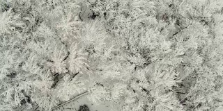无人机拍摄雪域森林