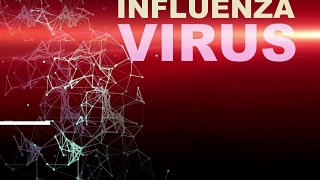 动画-流感病毒细胞图片，背景为光斑视频素材模板下载