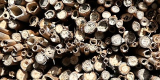 春天里，野蜂在昆虫旅馆的庇护所前飞翔。由木干、竹子制成。