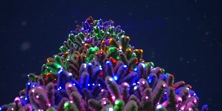 有发光装饰品的圣诞树。圣诞树在公园里的雪地里