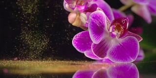 紫色兰花配金色亮片