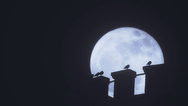 超级月亮下水塔上的鸟儿。