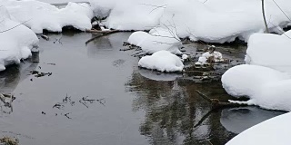 冬季阿尔泰村乌斯特勒贝德的小溪