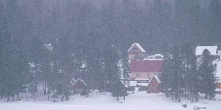 特勒茨科湖岸边，杉树林中的房屋被厚厚的积雪覆盖着