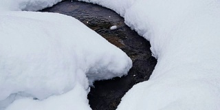 Teletskoe湖岸边的Tevenek(第三河)河边的冬季针叶林被大雪覆盖