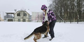 一个穿着冬季夹克的小女孩在雪地里和一只美丽的德国牧羊犬玩耍。