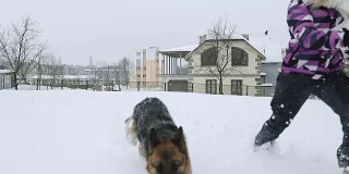 一只德国牧羊犬和一名年轻女子在雪地里奔跑。