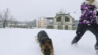 一只德国牧羊犬和一名年轻女子在雪地里奔跑。视频素材模板下载
