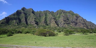 Kualoa牧场