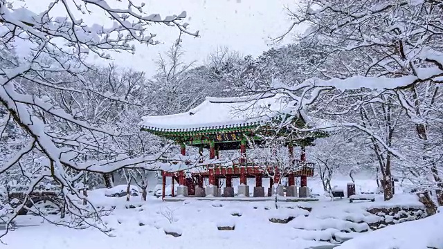 白江寺冬天下雪。