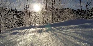 阳光透过冰冻的树木照射进来。日出在山上。平衡稳定拍摄
