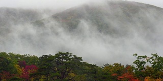 4K镜头的雨和雾在多色的秋天季节在深森林Naruko峡谷，日本，自然和旅游的概念