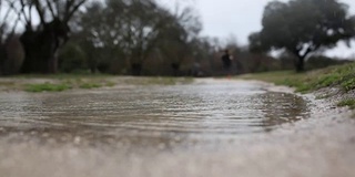 在雨中奔跑