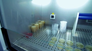 临床研究用实验室玻璃器皿。冰箱仓库中的实验室试管视频素材模板下载