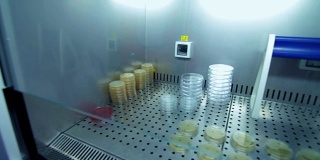临床研究用实验室玻璃器皿。冰箱仓库中的实验室试管