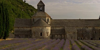 塞纳克修道院和盛开的薰衣草的全景。法国普罗旺斯，4K超高清电视
