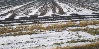 窗外的火车画面以慢镜头呈现在冬日的田野上