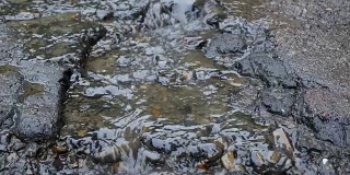 A stream of rainwater flows through the rocks