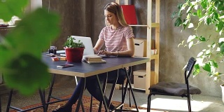 年轻女子正坐在办公室的桌子旁用笔记本电脑工作。她的同事来了，女人们开始一起看屏幕并大笑。非正式的友好的气氛。