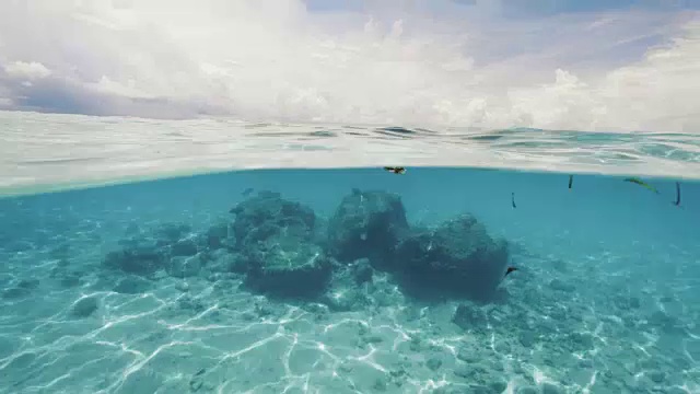 浮潜的观点在马尔代夫热带水域