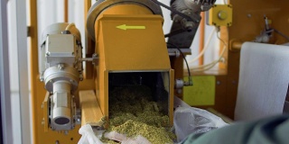 茶厂工人将凉茶从机器中铲入袋中
