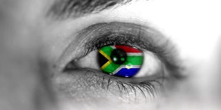 南非的眼睛。高清