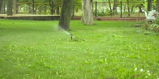 花园灌溉喷灌机浇灌草坪。公园里的绿草。