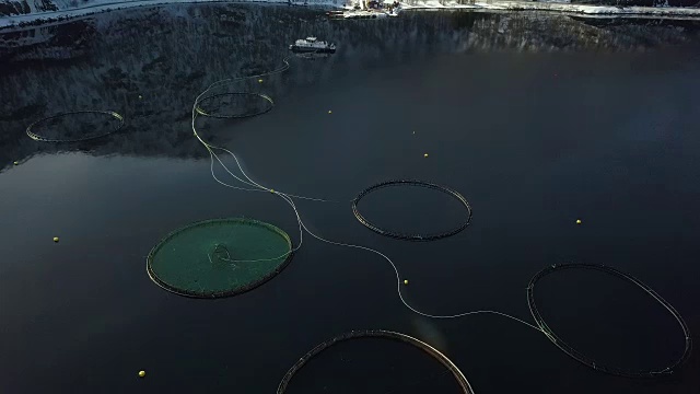 挪威北部特罗姆瑟省希勒沙姆峡湾的渔场