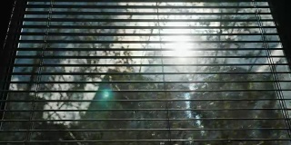 从一幢公寓的窗户看到的景色。阳光透过百叶窗，可以看到其他的房子和树木