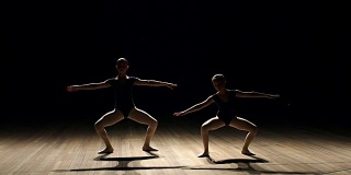 2、两个芭蕾舞演员在黑暗的舞台上跳舞，慢墨