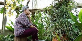 亚洲老妇人夏天坐在花园里。老年女性老年人在公园放松
