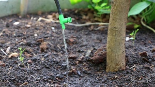 在花园和农场的滴灌系统，通过水缓慢滴到植物的根部来节约水和营养。视频素材模板下载