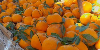 水果市场上多汁的成熟橘子