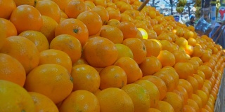 水果市场里多汁的成熟柑橘