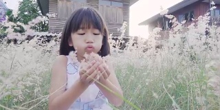 亚洲孩子吹草花在花园女孩在草地上玩。慢动作