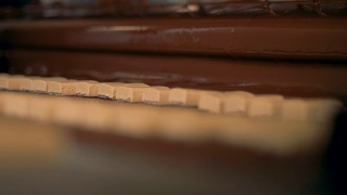 特殊机器用巧克力覆盖糖果，特写。视频素材模板下载