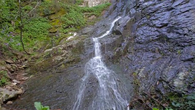 Small waterfall with a lot of vegetation