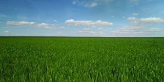 绿色的田野，蓝天和白云
