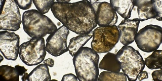 显微镜下的河沙颗粒
