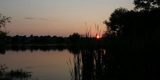 日落时湖边绿色植物的剪影