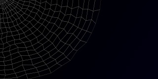 抽象背景-蜘蛛网。