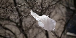 塑料袋在树上吹