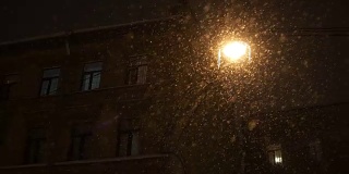 晚上城里下大雪。大朵雪花照亮灯落